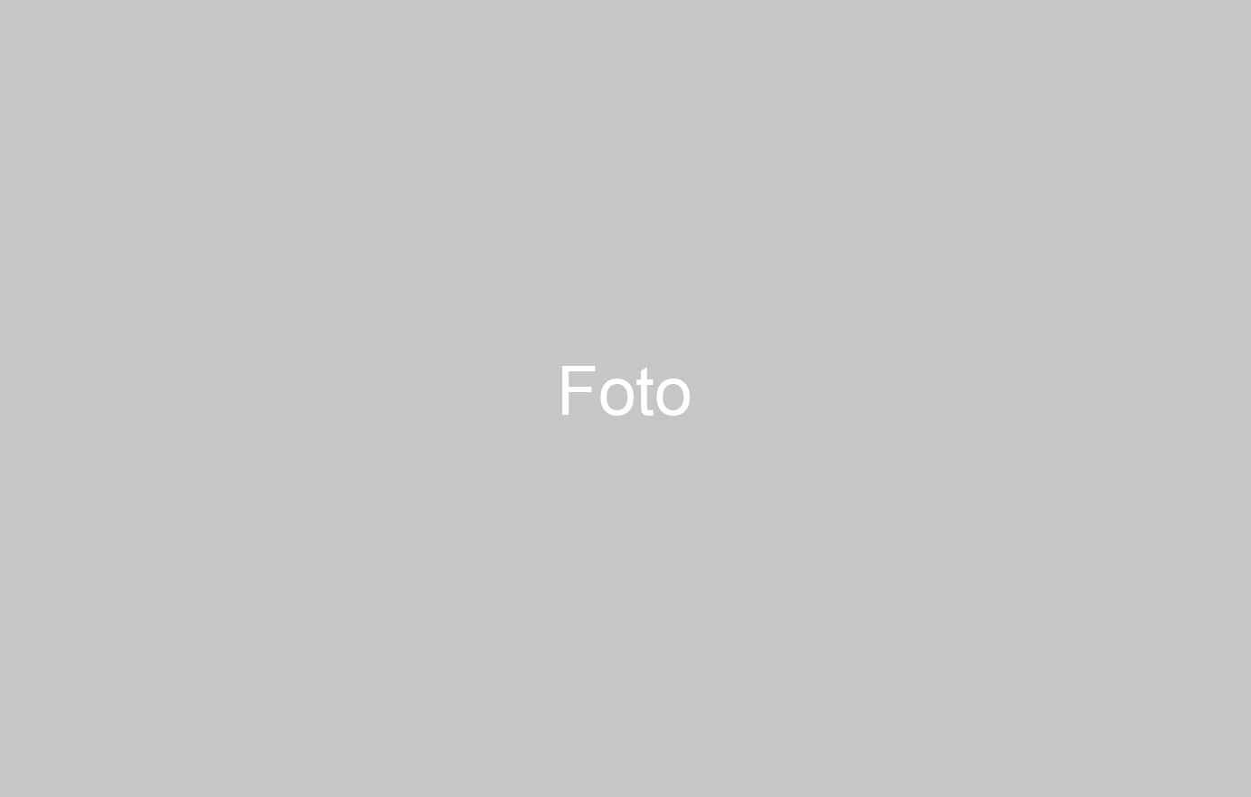 Finta foto spettacolo placeholder