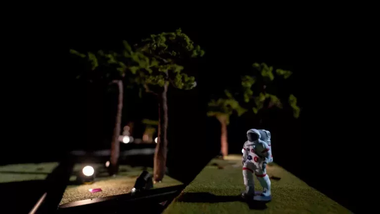 Transport fasten your seatbelts